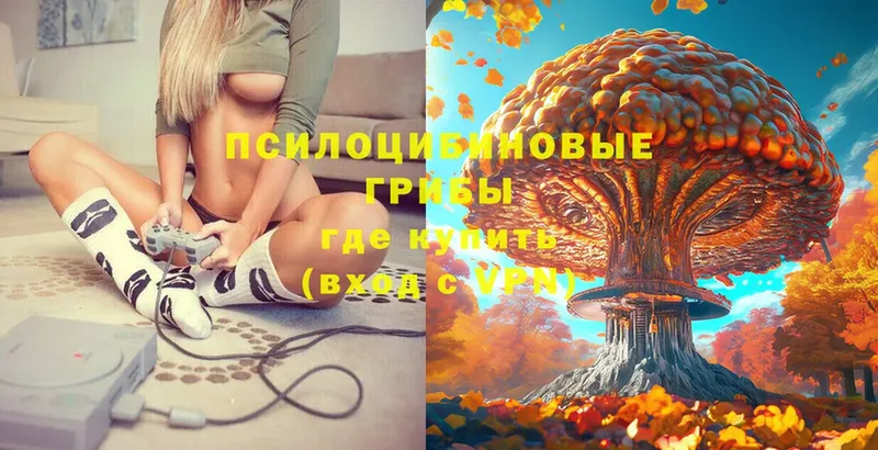 Галлюциногенные грибы Magic Shrooms  хочу наркоту  Белый 